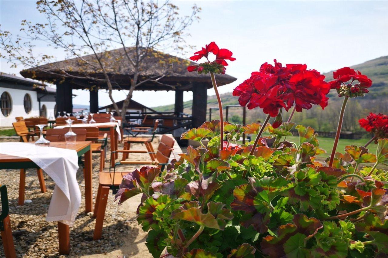 Ferma Dacilor Hotel Tohani Exterior photo