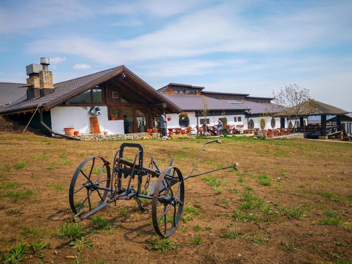 Ferma Dacilor Hotel Tohani Exterior photo