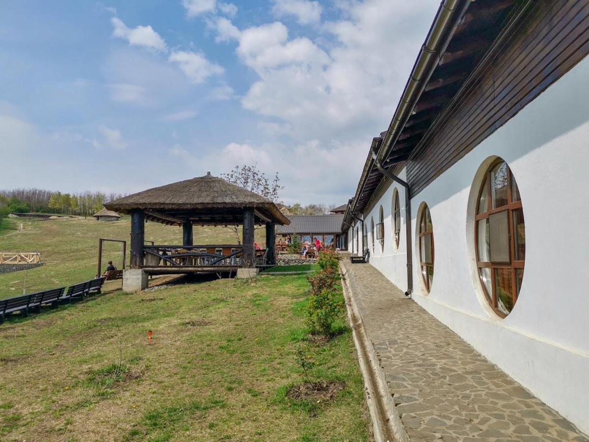Ferma Dacilor Hotel Tohani Exterior photo